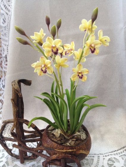 Kerámia kertművészet létre orchidea Cymbidium