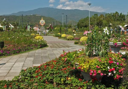 Gyönyörű virágágyások és Park Royal növényvilág ratchaphruek Chiang Mai, az ötleteim a kert és a kert