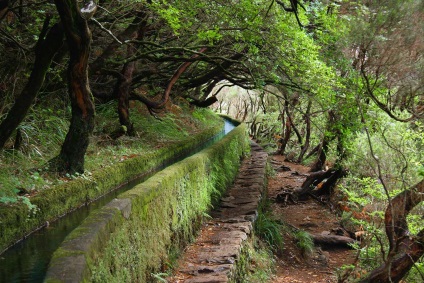 Madeira látnivalók