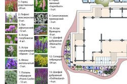 Az építés egy virágoskert saját kezűleg elveit gondozásában a virágoskert