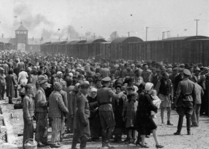 Auschwitz felszabadulása