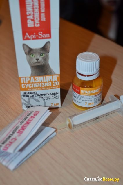Vélemények a gyógyszer deworming - prazitsid - szuszpenziót 20 api-san a prazitsid macskák