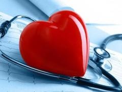 Előkészületek erősíti a szívizmot, a népszerű recept a kezelés és a megelőzés