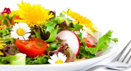 Saláta gyermekláncfű előnyei és hátrányai, néhány receptet