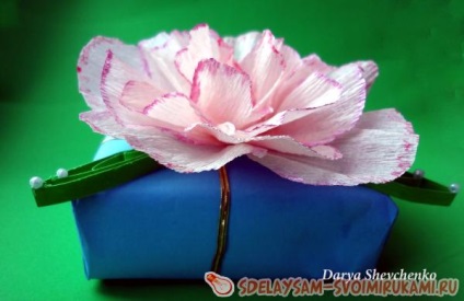 Csomagolása „kényes virág” bemutatni a mester osztály saját kezűleg
