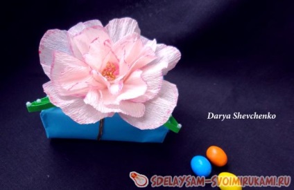 Csomagolása „kényes virág” bemutatni a mester osztály saját kezűleg