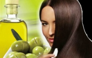 Tudja meg, mi hasznos olívaolaj haj!