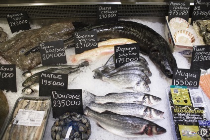 Minszk nyitott a bolt, friss tengeri hal, az osztriga, a magazin a Minszk