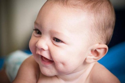 Bodri hogyan tegyék azt az illúziót (gödröcskék) Bodri, hogyan lehet őket az illúziót
