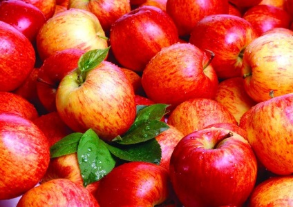 10 érdekes tény az alma, hogy mindenkinek tudnia kell