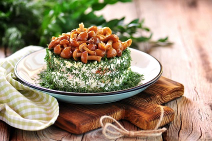 10 receptek ízletes saláták marinált gombák, ország konyha ()