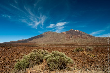 5 ok, utazás Tenerifén (megy) 5 ok, hogy menjen a Tenerife