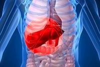 Alkoholos hepatitis tünetek és krónikus, akut és toxikus hepatitisz (kezelés) Alkoholos hepatitis tünetek és krónikus, akut és toxikus hepatitis
