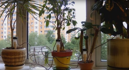 Automata csepegtető öntözőrendszer szobanövények