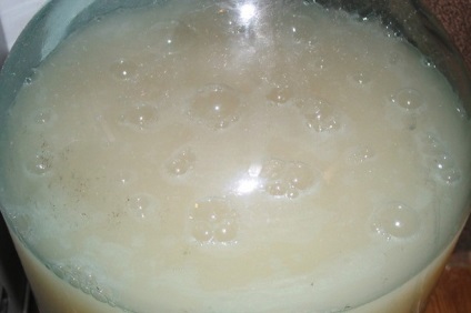 Gyors főzött sör főzéséhez - főzés recept naponta 72 órán keresztül a hazai (Braga) Gyors főzött sör vodka - a recept vodka, naponta 72 órát otthon