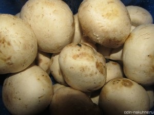 Töltött csirke rizzsel gombát és egy a konyhában (csirke recept gombával) Töltött csirke gombával és rizzsel, egy a konyhában