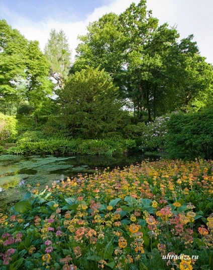Tervezés táj fotó az európai kertek és parkok