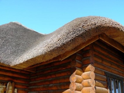 A ház a nád - az ősi technológia modern kényelem