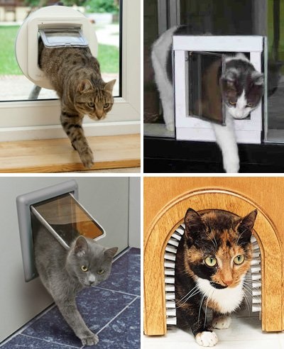 Ajtó macskáknak féle halad, és hogyan lehet az ajtót a saját kezével