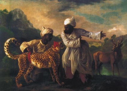 Cheetah - macska, mint egy kutya, mind Afrika (a kutya) Cheetah - macska, mint egy kutya, minden Afrika
