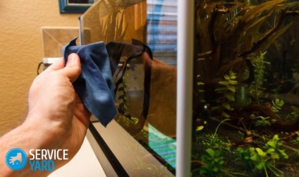 Hogyan kell tisztítani az üveget az akváriumban, serviceyard-kényelmes otthon kéznél