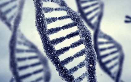 Hogyan DNS információkat generációról generációra