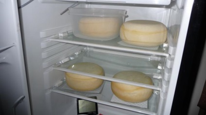 Hogyan kell menteni a hosszabb sajt a hűtőben tároljuk, mint sajtot a hűtőben
