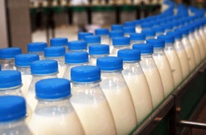 Hogyan válasszunk tej áruház