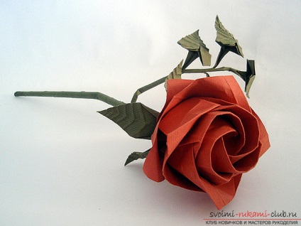 Hogyan készítsünk egy rózsa papírból rendkívüli szépségű