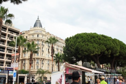 Cannes látnivalók és dolgom cikk