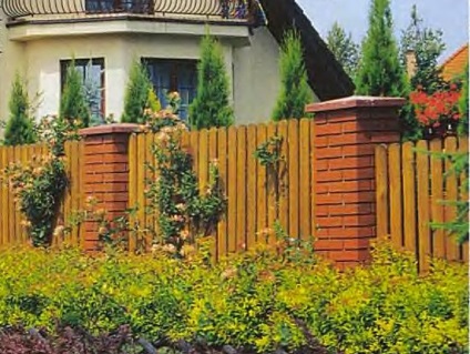 Egy szép kapu az országban, fotó, növényi kert (dacha) Egy szép kapu az országban, fotó, növény a kertben
