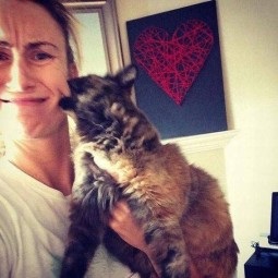 Gyönyörű fotó egy lány vele macska, fotó lányok macskák a avatar