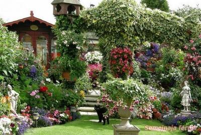Gyönyörű kert nem túl nagy baj - kerttervezés - kúria - a könyvtár - a családi gazdaság