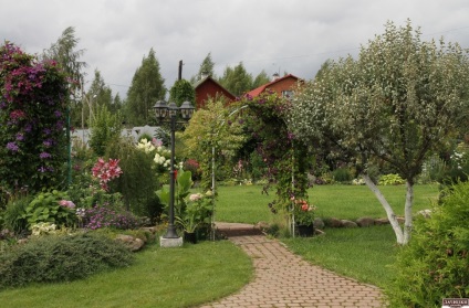 Gyönyörű kert Tatyany Kretovoy