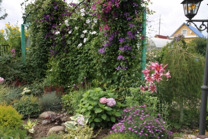 Gyönyörű kert Tatyany Kretovoy