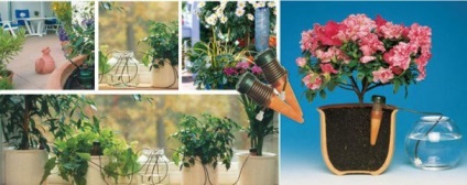 Vásárolja öntözőrendszer szobanövények (virág)