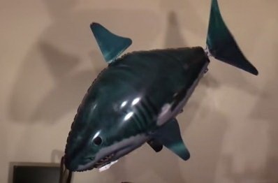 Repülő hal cápa a rádióban, a felülvizsgálat