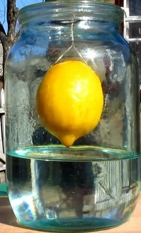 Citrom likőr vodka tesztelt receptek
