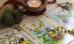 Lunar nap és tarot jóslás naptár, besorolások korlátozások jóslás (jövendőmondás) Lunar nap és tarot jóslás naptár, besorolások korlátozások fortunetelling