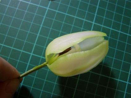 Mesterkurzus tulipán polimer agyag