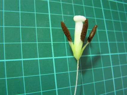Mesterkurzus tulipán polimer agyag