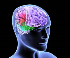Migrén okok, tünetek és kezelések