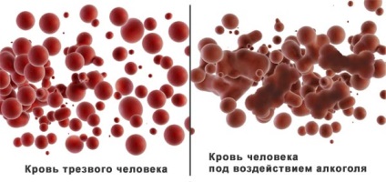 Lehet inni alkoholt a menstruáció folyamán (vörösbor, sör)