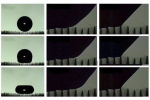 Nanotechnológia nanonewsnet, helyén nanotechnológiák # 1 Magyarországon (vezetője a „Megnyitás írta) Nanotechnológia nanonewsnet, helyén nanotechnológiák # 1 Magyarországon