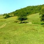 Alsó Khobzey vakáció, alacsonyabb Khobzey strand, alsó kép Khobzey alsó Khobzey tenger, pihenés alsó Khobzey, (strand) Alsó Khobzey vakáció, alacsonyabb Khobzey strand, alsó kép Khobzey alsó Khobzey tenger, pihenés alacsonyabb Khobzey,
