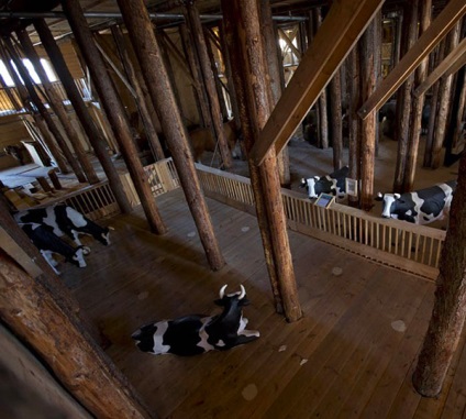 Noah ark teljes méretű (9. kép) (noy) Noé bárkája teljes méretű (9. kép)
