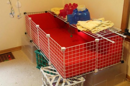 Beállítása otthonában tengerimalacokat (tengerimalac ház) Beállítása ház tengerimalac