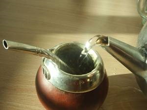Az előnyök és veszélyek mate tea (társ)
