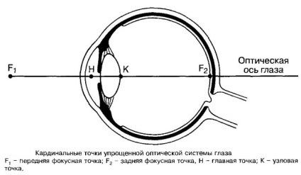Az optikai rendszer a szem - a funkciók, osztályok, aberráció