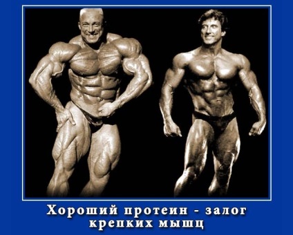 Előnyei és hátrányai protein (nem) Előnyei és hátrányai egy fehérje